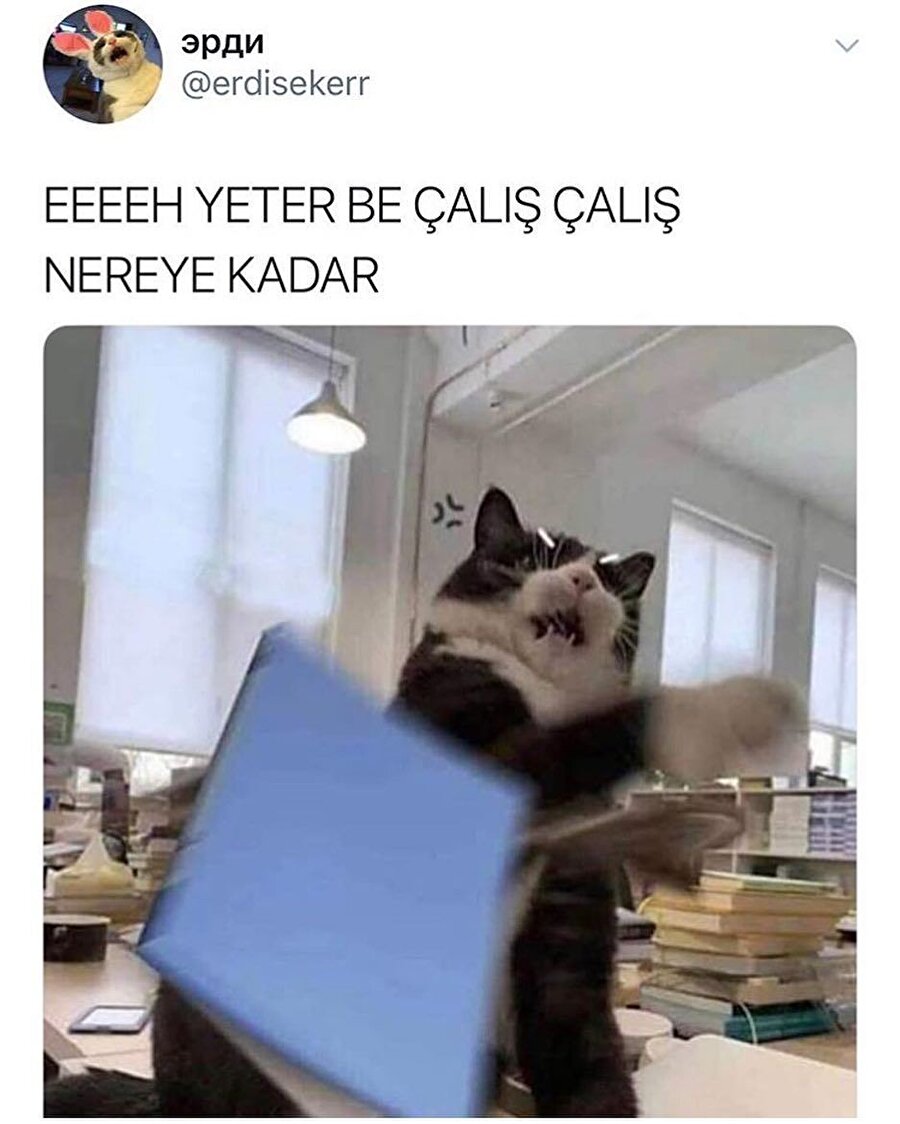 Üniversite sınavına 2 ay kaldı...