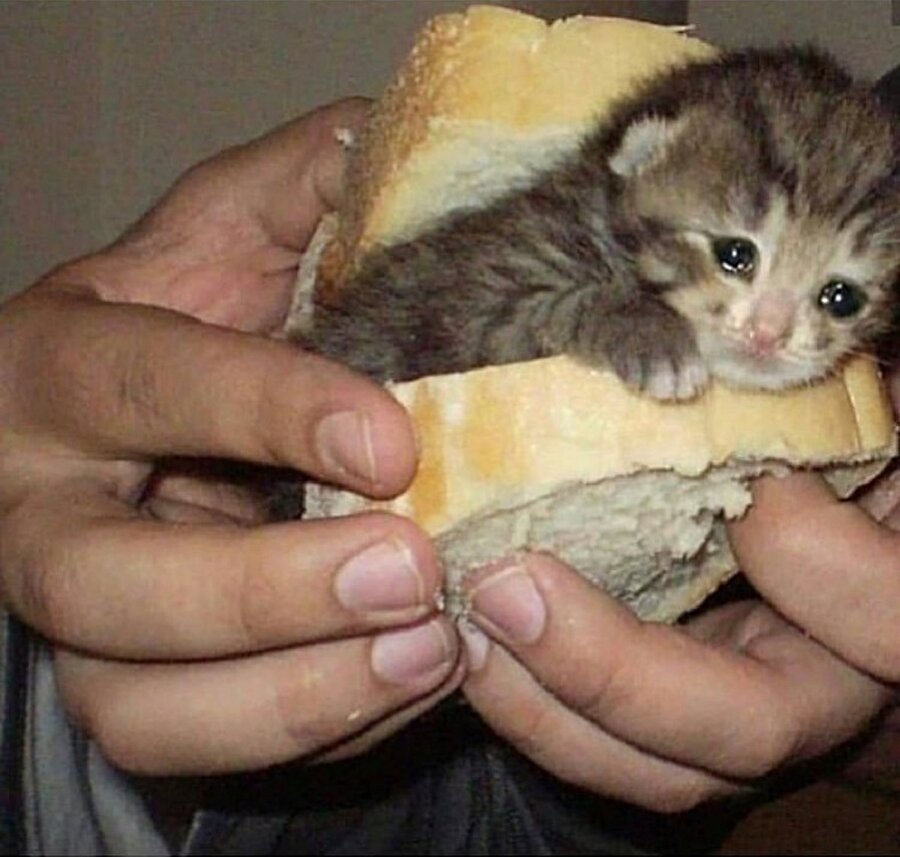 Çok tatlısın yerim seni