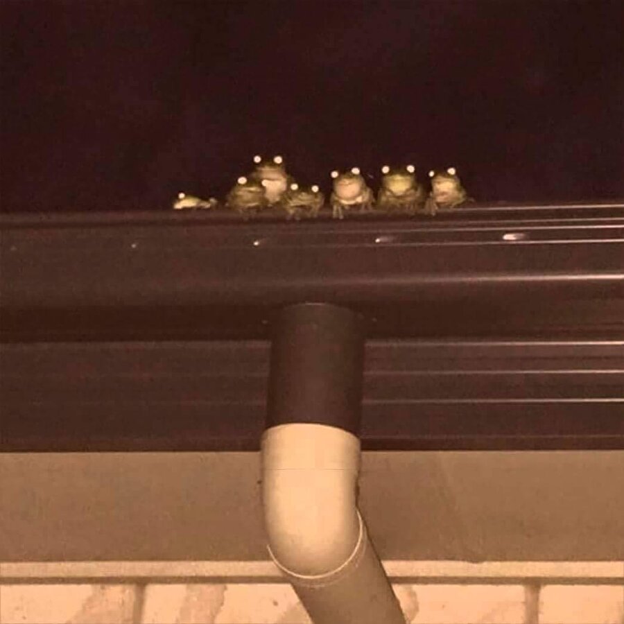 Lise önünde bekleyen gençler​