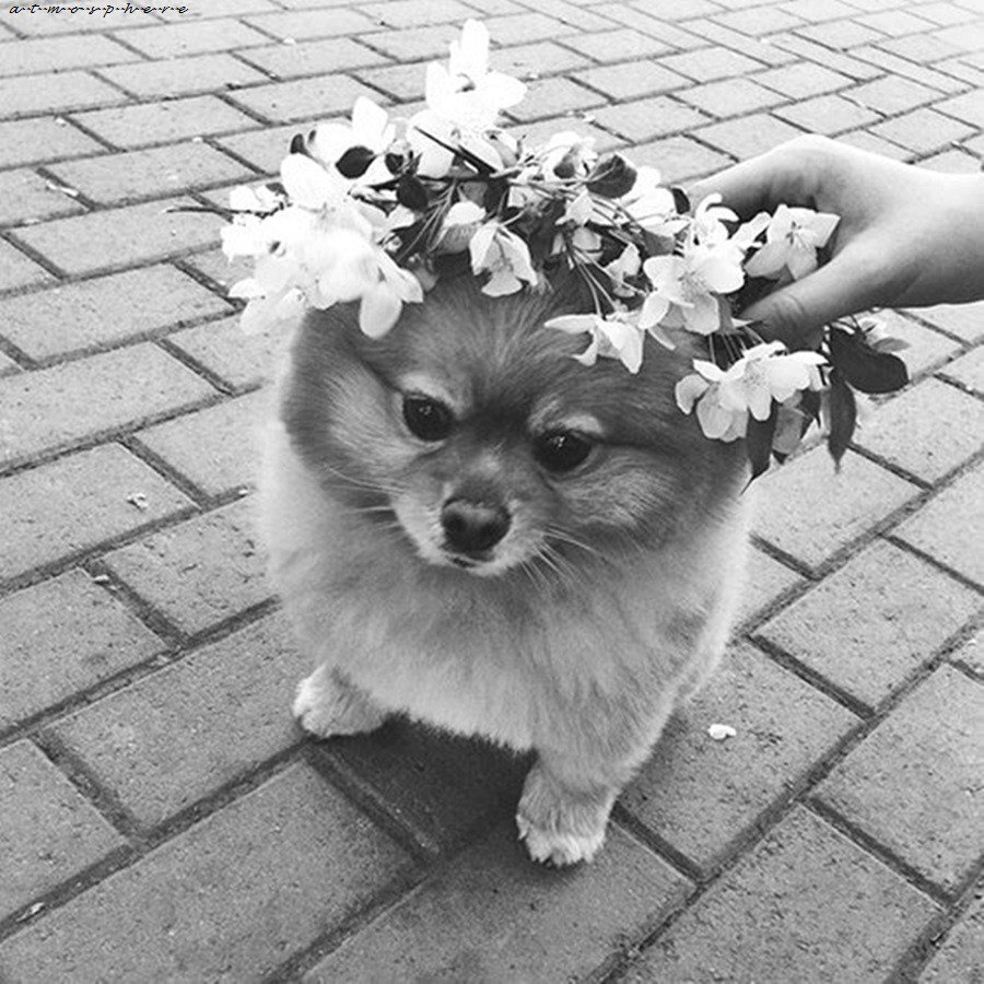 Hiçbirimizin böyle güzel fotoğrafı yok