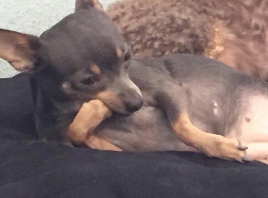 Okula gidecek gücü toplamaya çalışıyorum