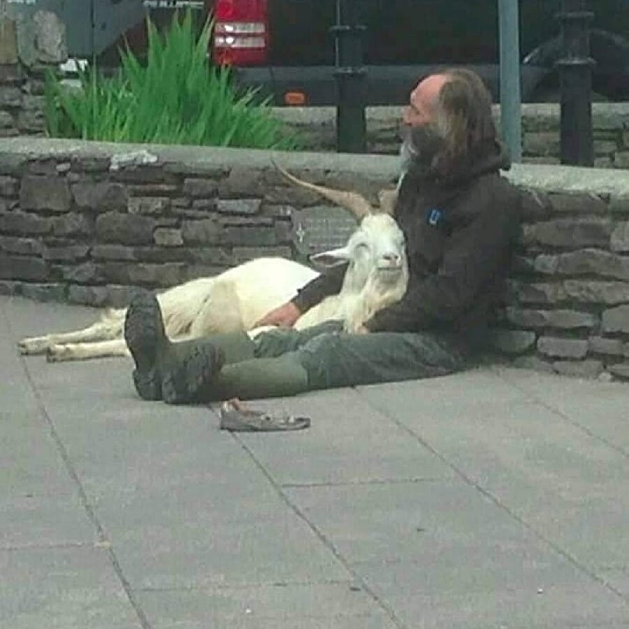 ​İçim ısındı