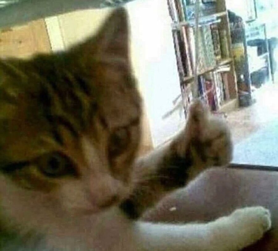 Arkadaşım hoşlandığı kişinin fotoğrafını gösterdi