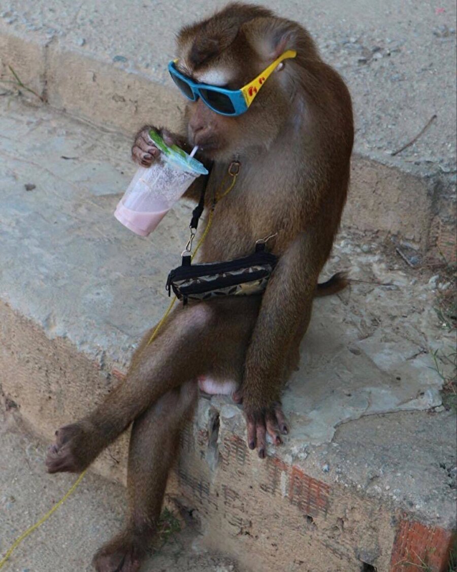 ​Çilekli milkshake içmeden güne başlayamıyorum