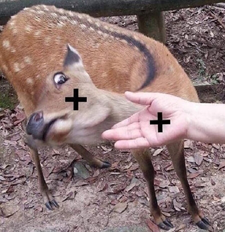 Hafıza teknikleriyle fizik