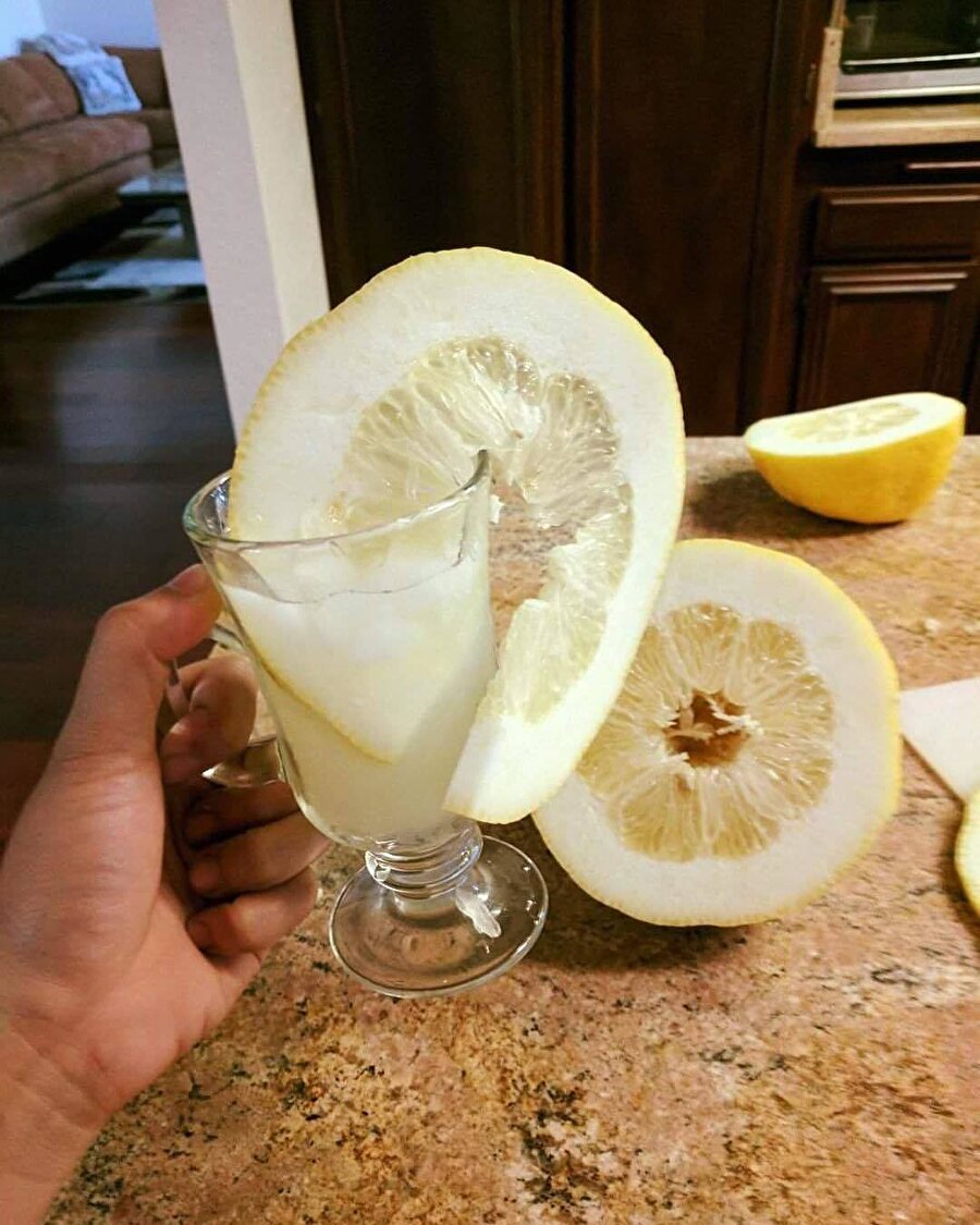 Bu biraz küçük olmuş, karpuz yok muydu?