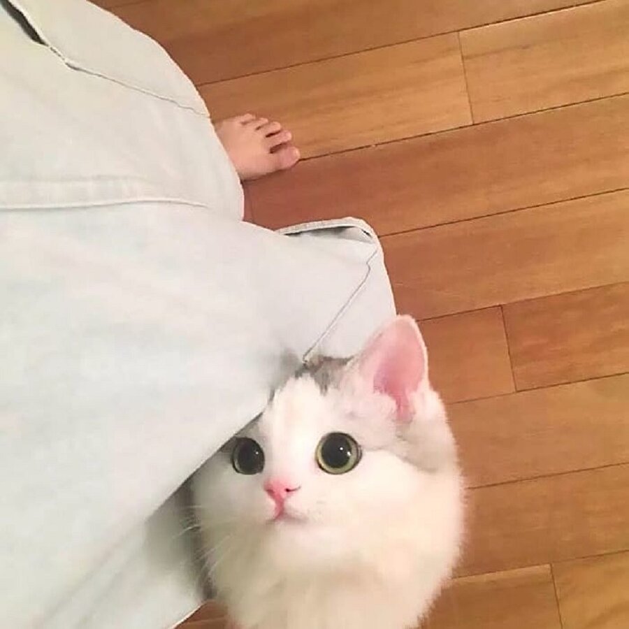Невозможно отказать