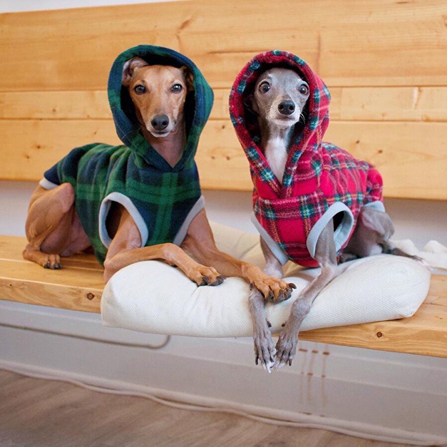 Sen bizimle oturamazsın 😉