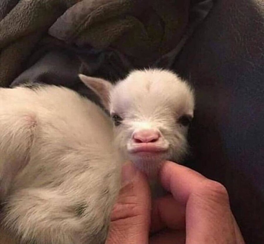 Ver bi' öpücük​