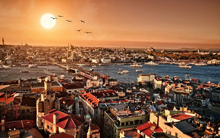Arşiv fotoğraf