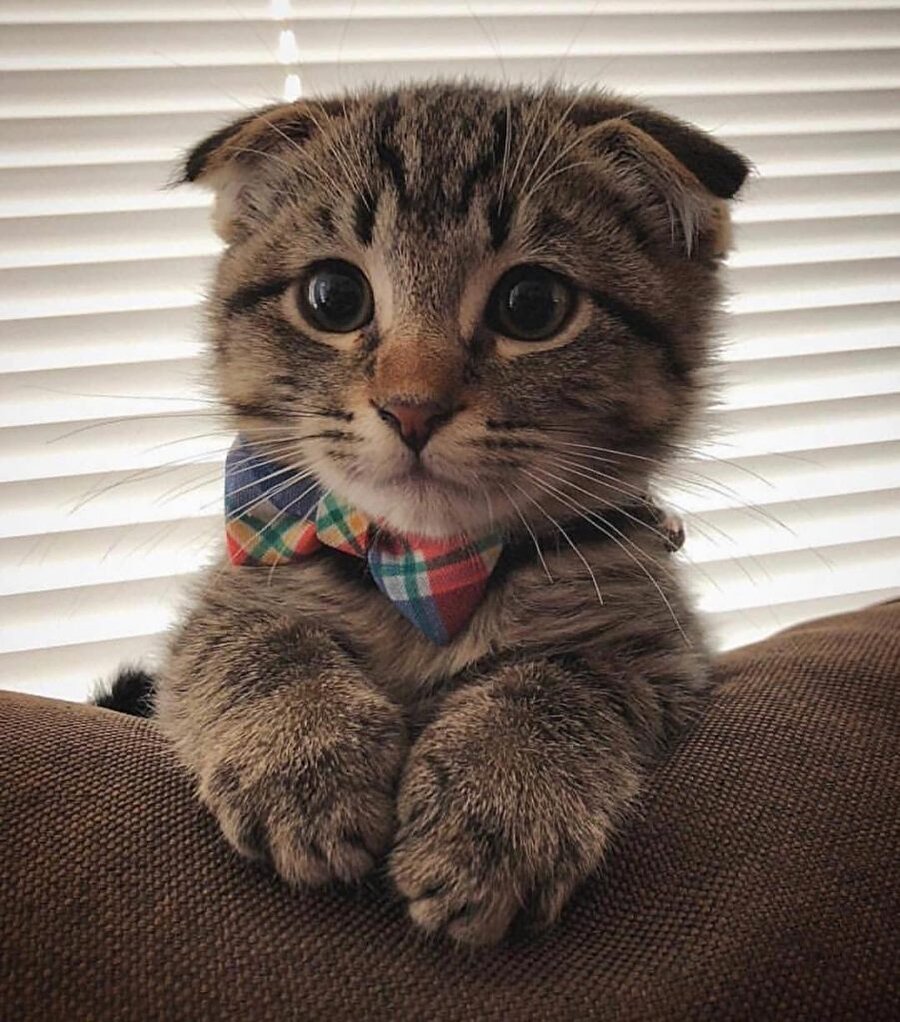 ​Çok yakışıklısın