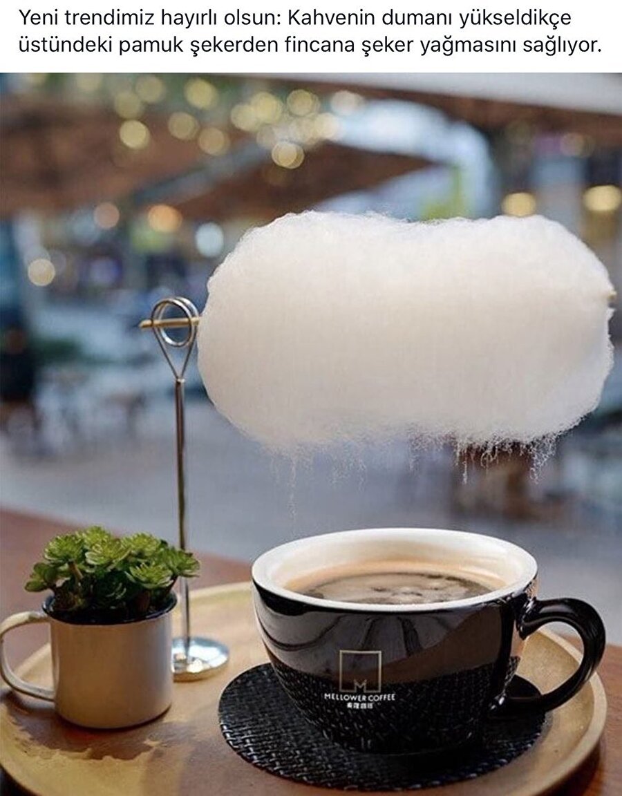 Keşke trend olmasaydı dediklerimizden