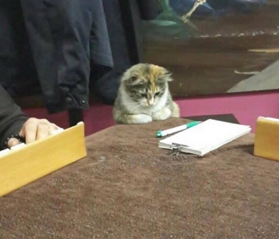 ​Akademik kariyer yapmaya gittiğim Üniversite hayatım böyle geçiyor