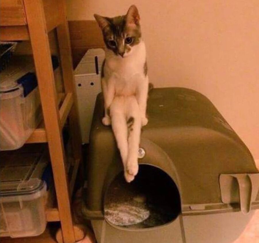 Otururken birden içime gelecek kaygısı düştü