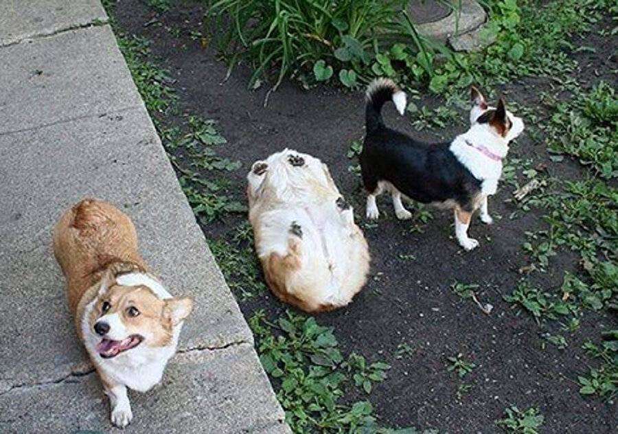 ​Grup halinde çekilmiş fotoğraflarda ben