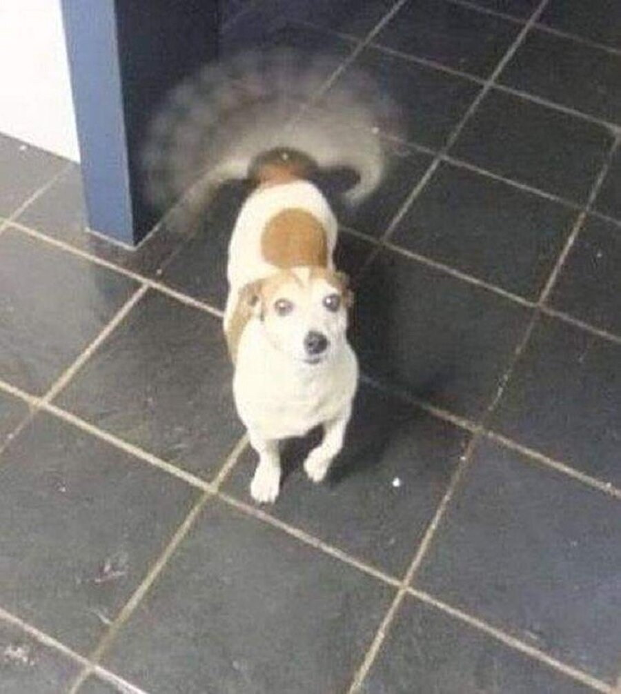 Uçuşa hazır mısınız?