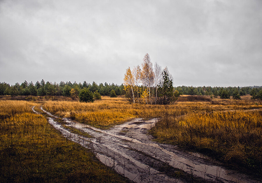 Dijital devrim kendi şiirini, öyküsünü, romanını, sanatını süreç içinde oluşturacaktır.
