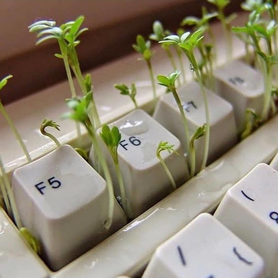 Klavye arası kırıntılardan oluşan küçük bahçe