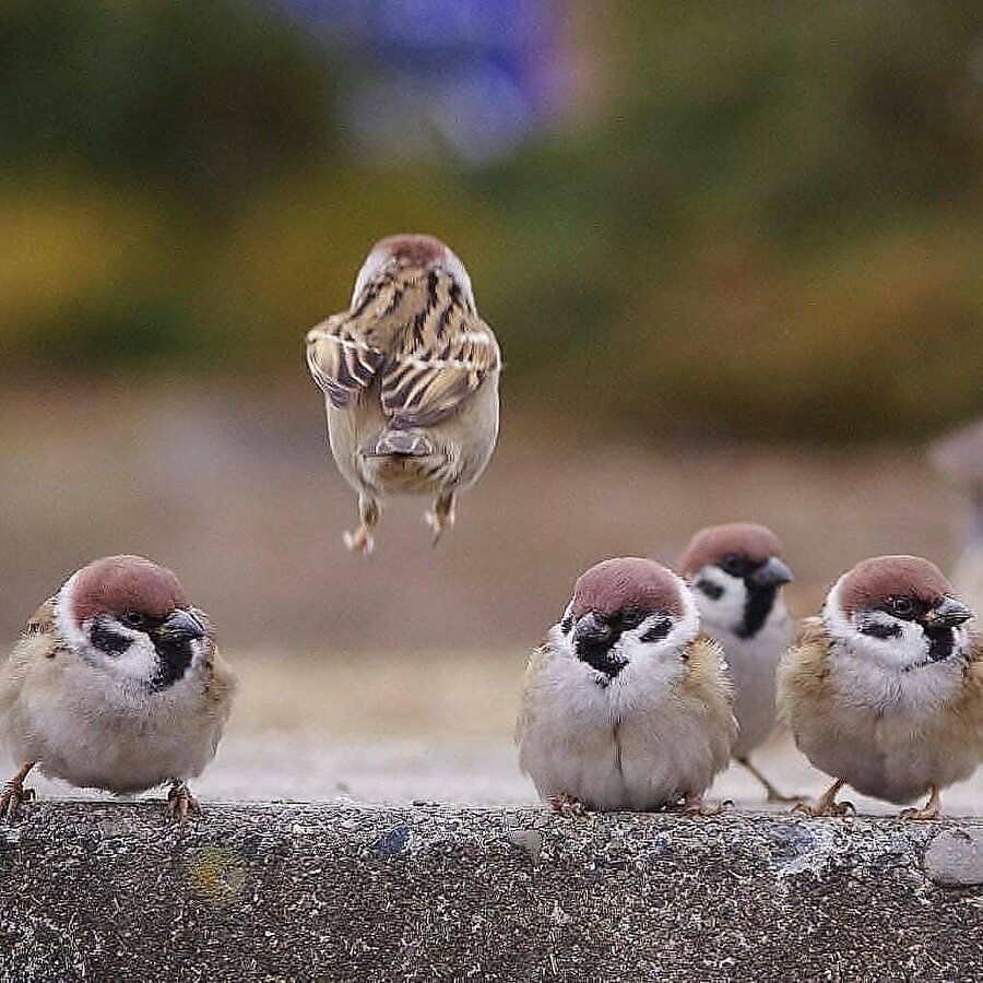 Hadi ben kaçtım...