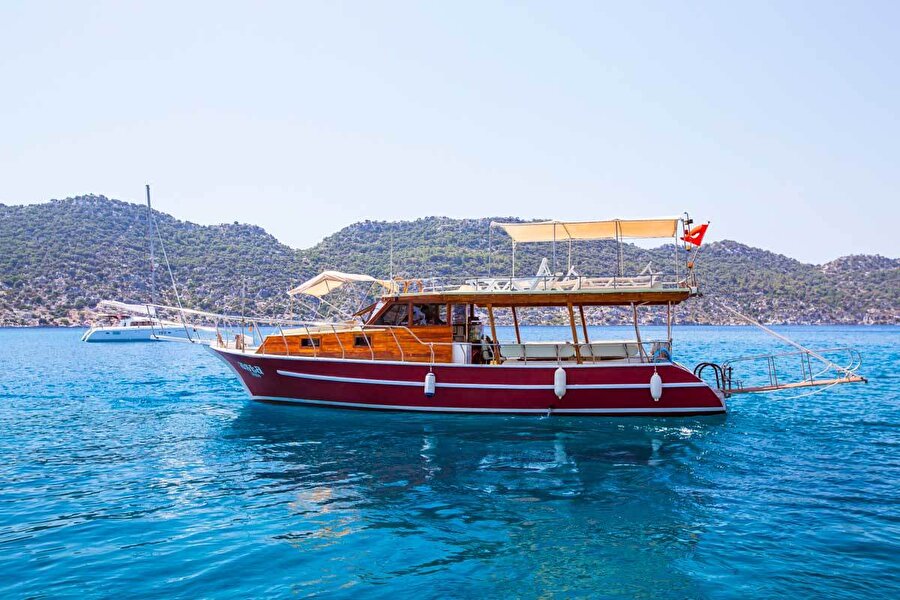 “Kaptan! Bizim beyzade uyanmış!” diye seslendi.