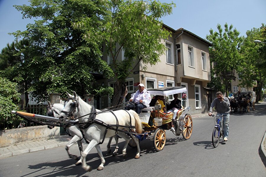 Ülkemizde özellik turistik bölgelerde fayton keyfi seyahat aracı olarak tercih ediliyor.