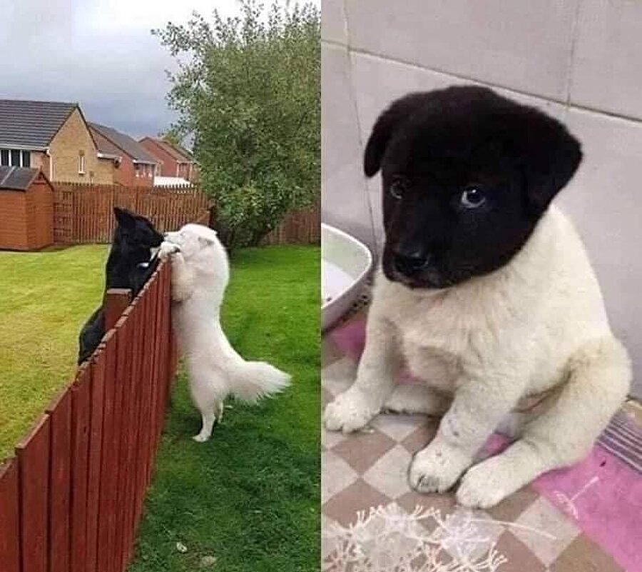 Nasıl olduğu bulundu...