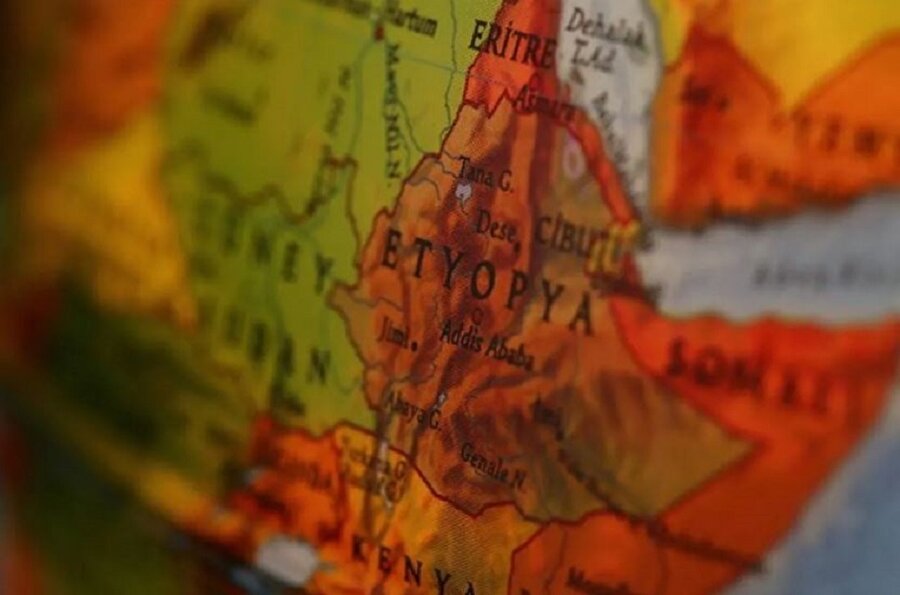 Arşiv