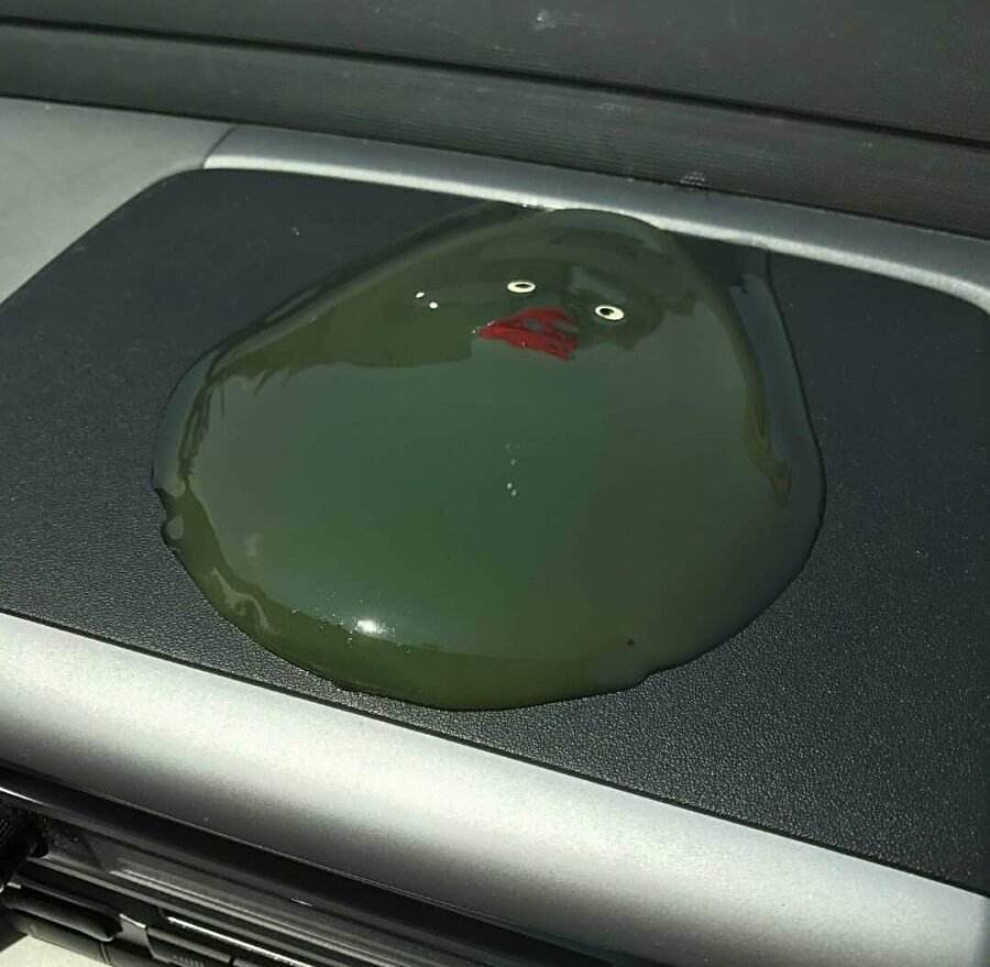 ​Metrobüsten indim