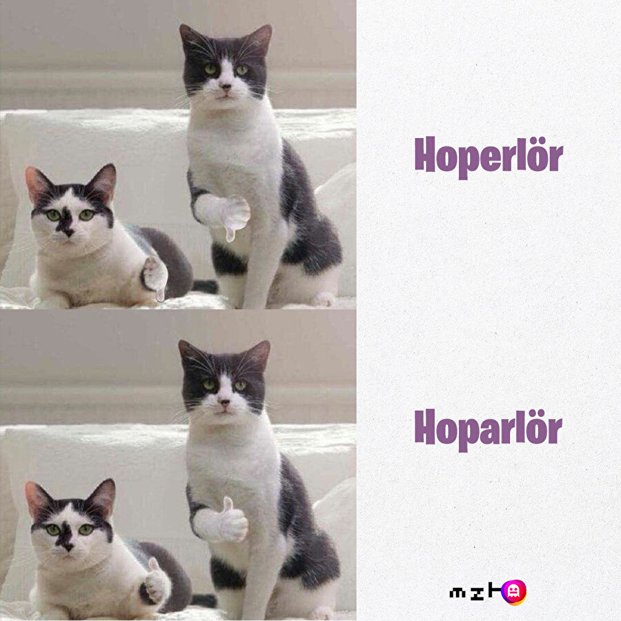 İmla kılavuzu ayağınıza geldi