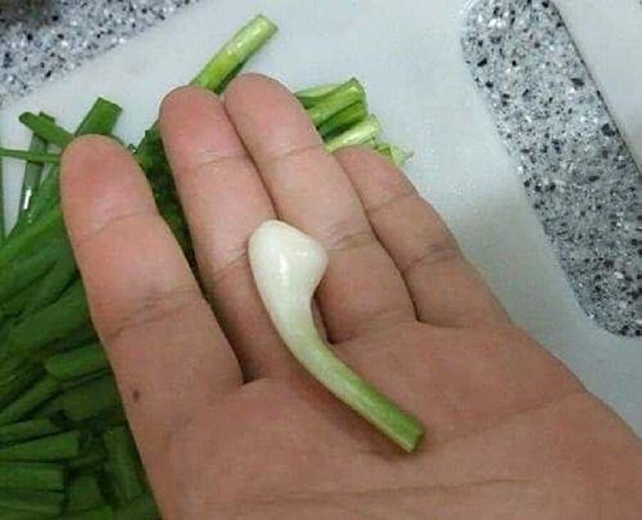 Bu devirde her şeyin organiğini alacaksın