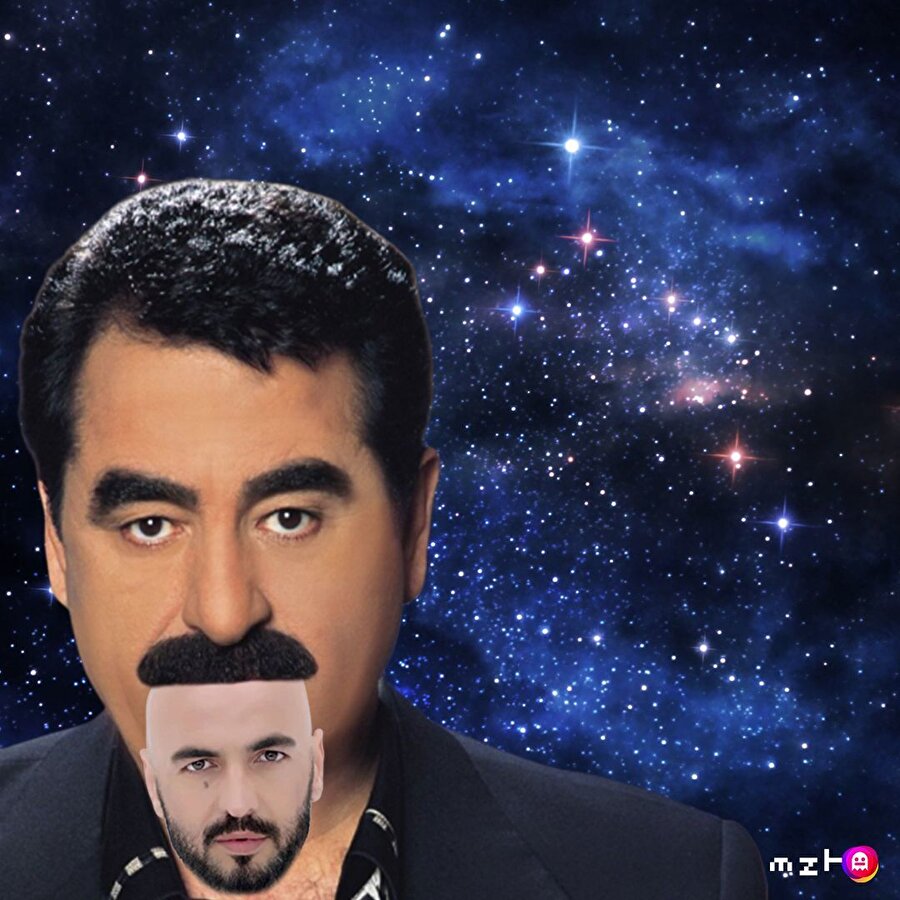 Çok amaçlı bıyık