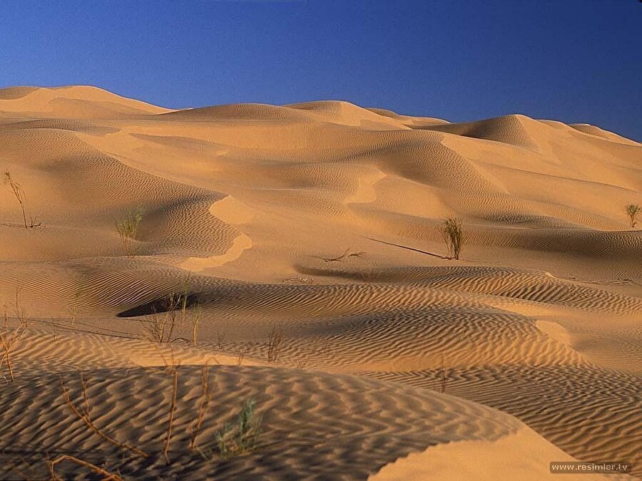 Yüklendiğim rüyalarla bir çölün derinliklerine düşmüşüm.