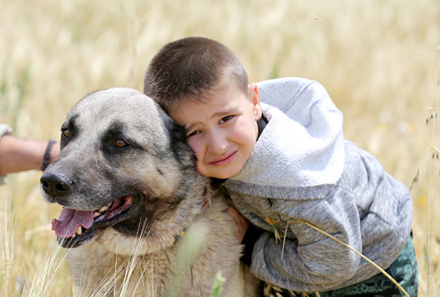 Babası Ali'nin Kangal köpekleri ile özel bir iletişim kurduğunu belirtiyor