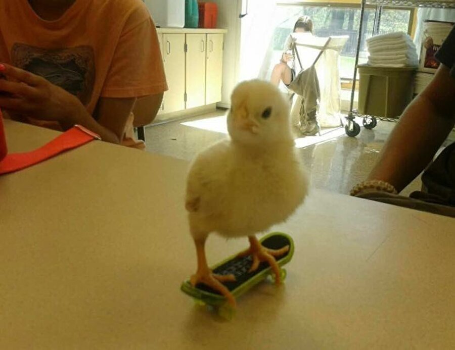 ​Haydi gidelim bebeğim