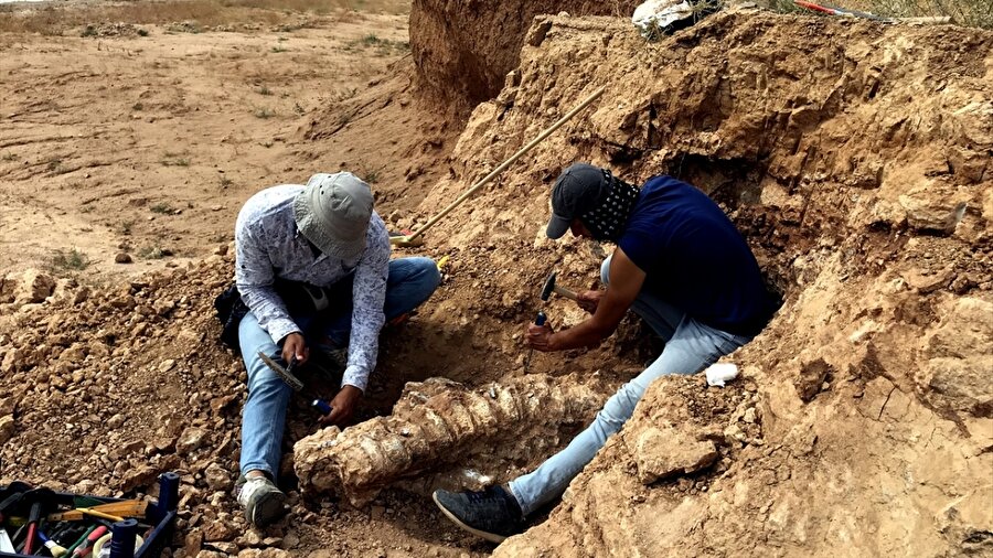 Hirfanlı Baraj Gölü'nün Kırşehir kıyılarındaki Kurutlu'da kazı çalışmaları 4 yıldır sürüyor.