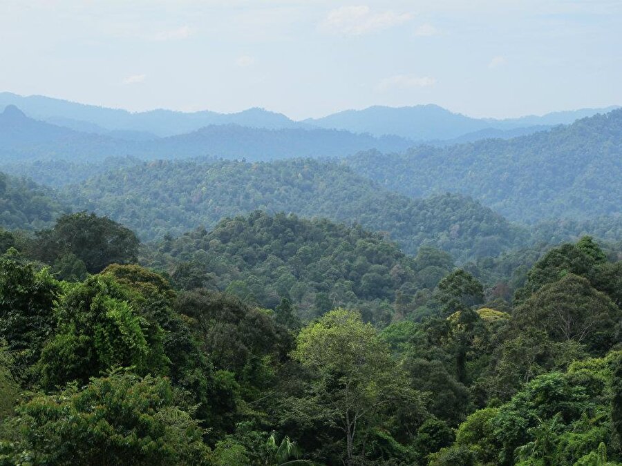 Samut, yolcu olduğumu, oradan oraya gezdiğimi bilin yeter, demişti.