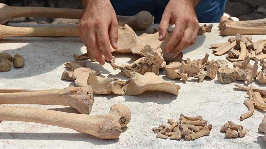 Muğla'da yapılan kazı çalışmalarında mezarlar ortaya çıktı.