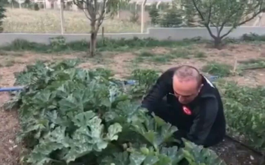 Bakan Çavuşoğlu, bahçesiyle ilgilendiği anları sosyal medya hesabından takipçileriyle paylaştı.