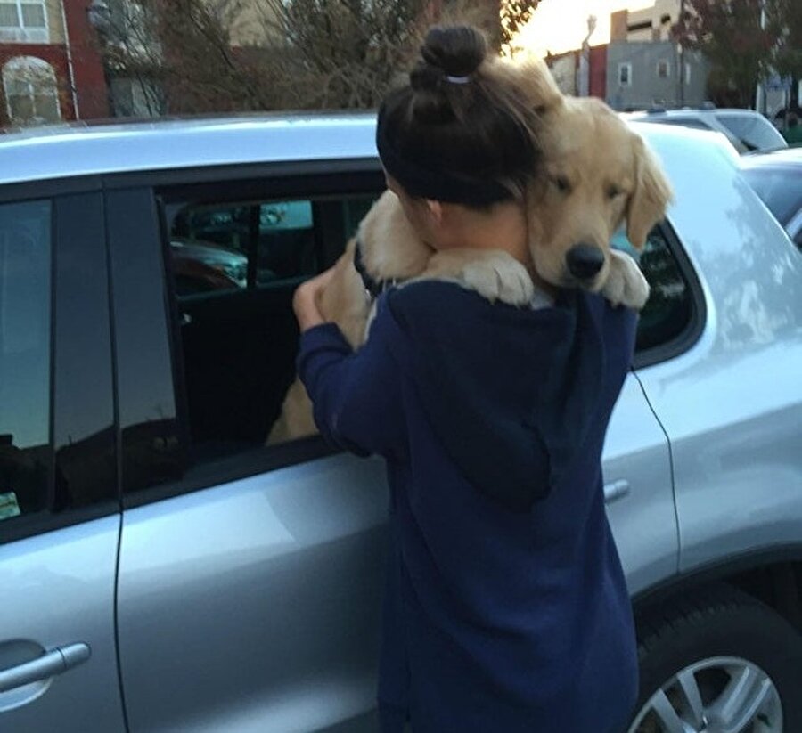 Sahibinin 'Hoşçakal' dediği köpek hoşça kalamamış :( 
