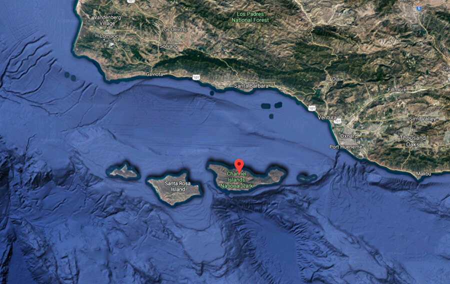 ABD’de Santa Cruz Adası açıklarında yolcu gemisinde çıkan yangında 34 kişi yaşamını yitirdi.