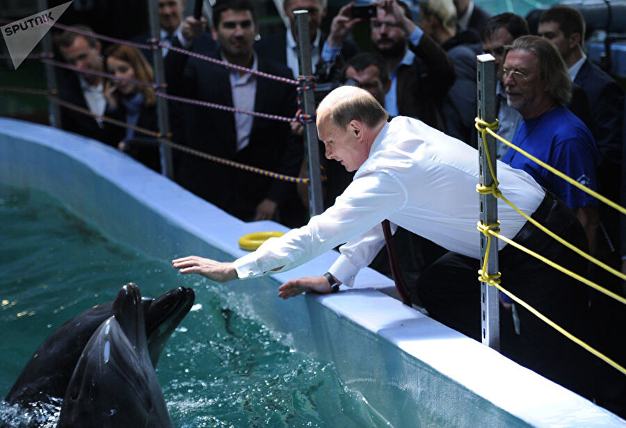 
                                    Putin, Russki adasındaki bir akvaryumda balinaları severken görünüyor.
                                