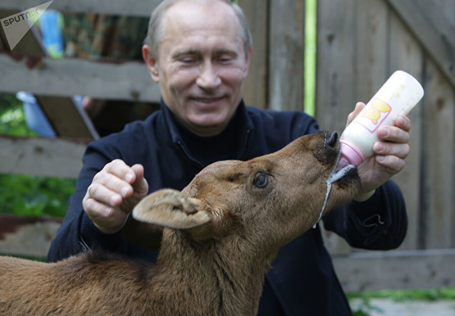 
                                    Moskova'da bulunan Losinıy Ostrov doğa koruma alanında bir yavruyu beslemesi objektiflere böyle yansımıştı.
                                