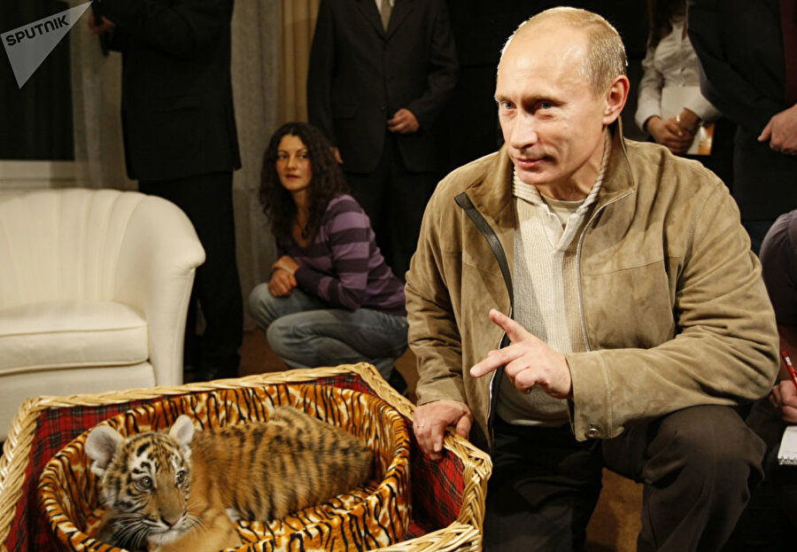 
                                    Rus lidere bir kaplan yavrusu hediye edilmişti.
                                