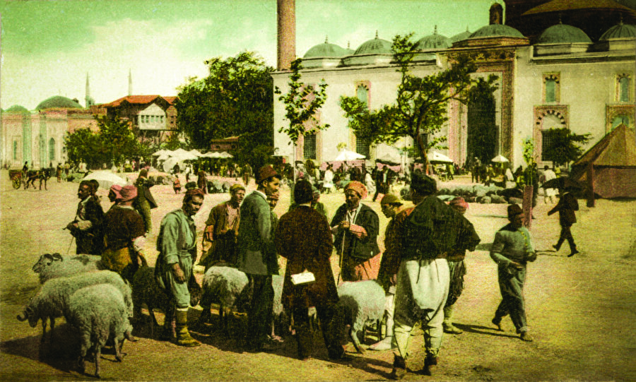 Ahmet’in Kuzuları