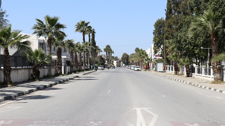Arşiv