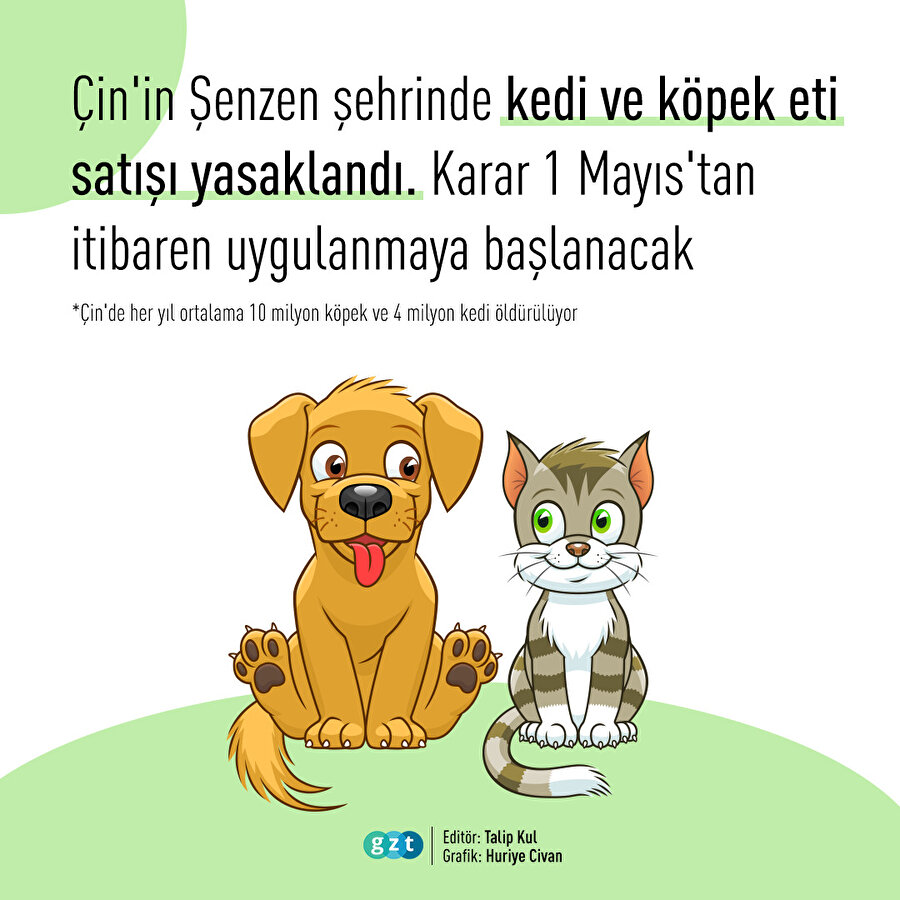 Şenzen şehri Çin'de bir ilke imza attı