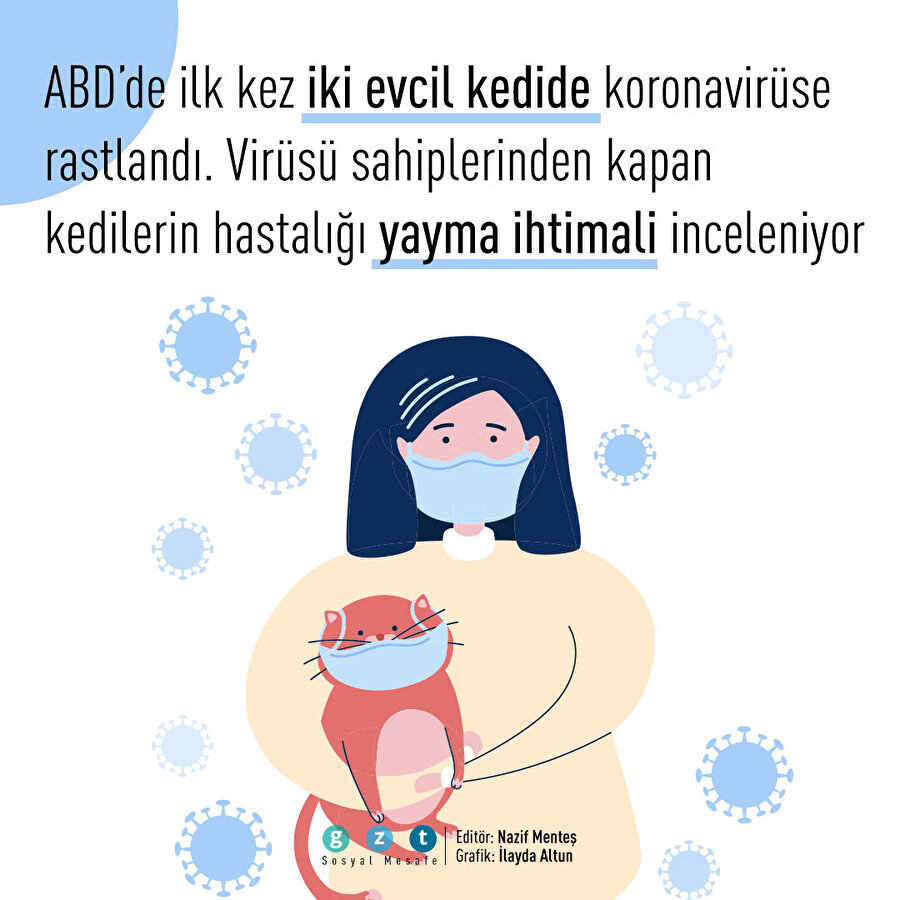 Evcil hayvanlarda koronavirüs tespit edildi