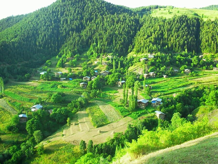 Artvin