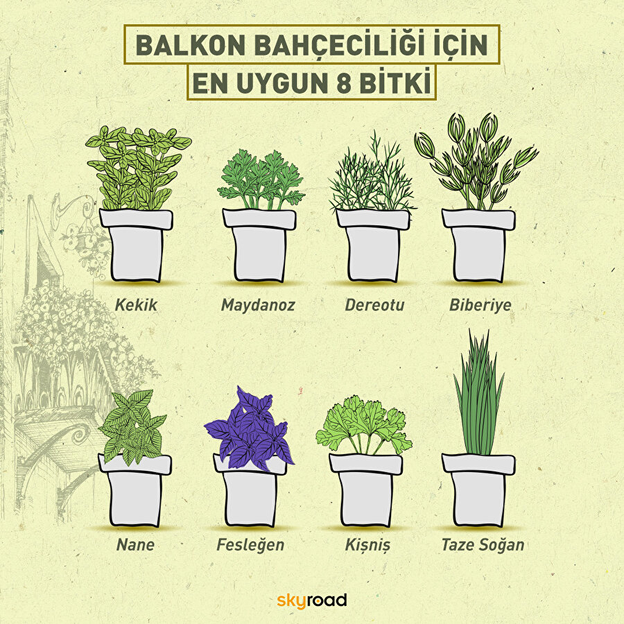 Herkes saksılarını alsın, balkon bahçeciliğine başlıyoruz! ?