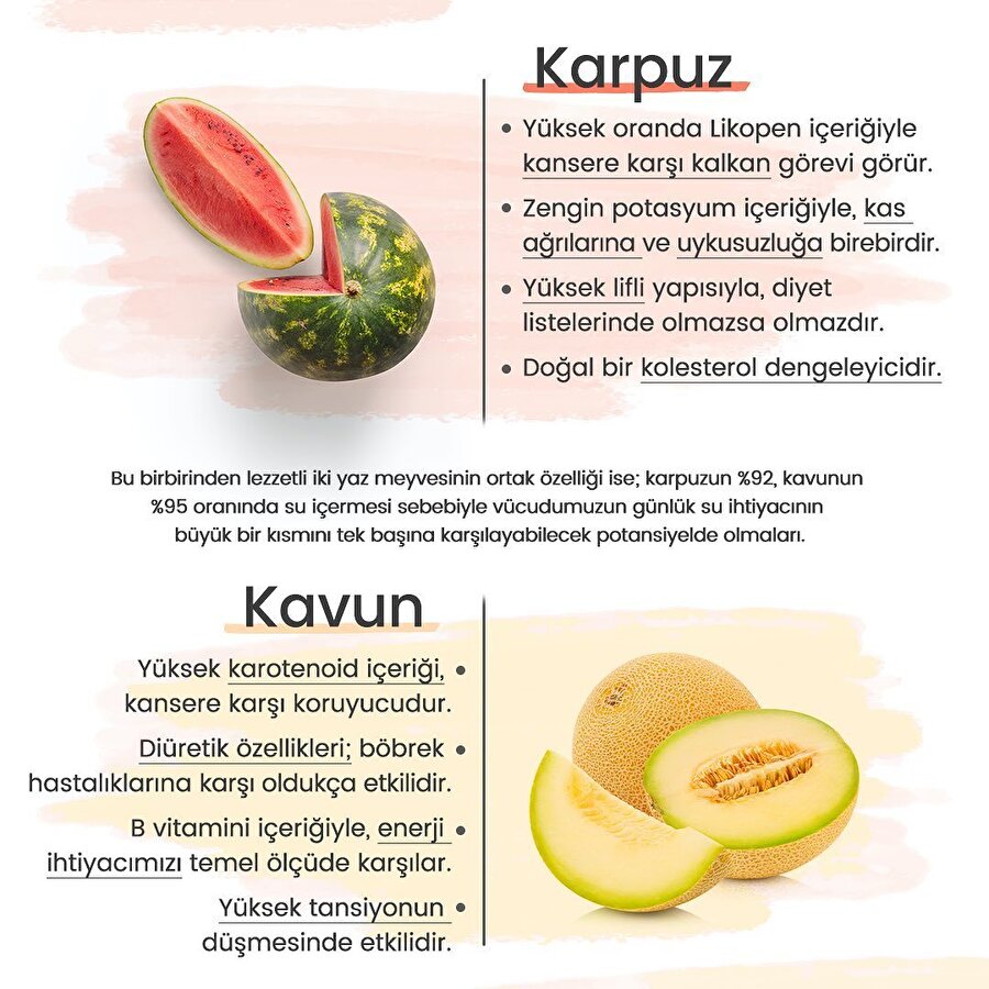Karpuz mu, kavun mu? 🍉🍈